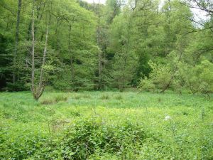 Blick auf Unterbeckenstandort Blick auf Unterbeckenstandort